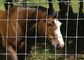 الحيوانات الضميمة مزرعة سياج بوابة / الماشية الماشية لوحة سياج 0.6-2.5 متر الطول المزود